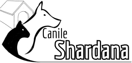 Logo di Canile Shardana di Magliani Salvatore